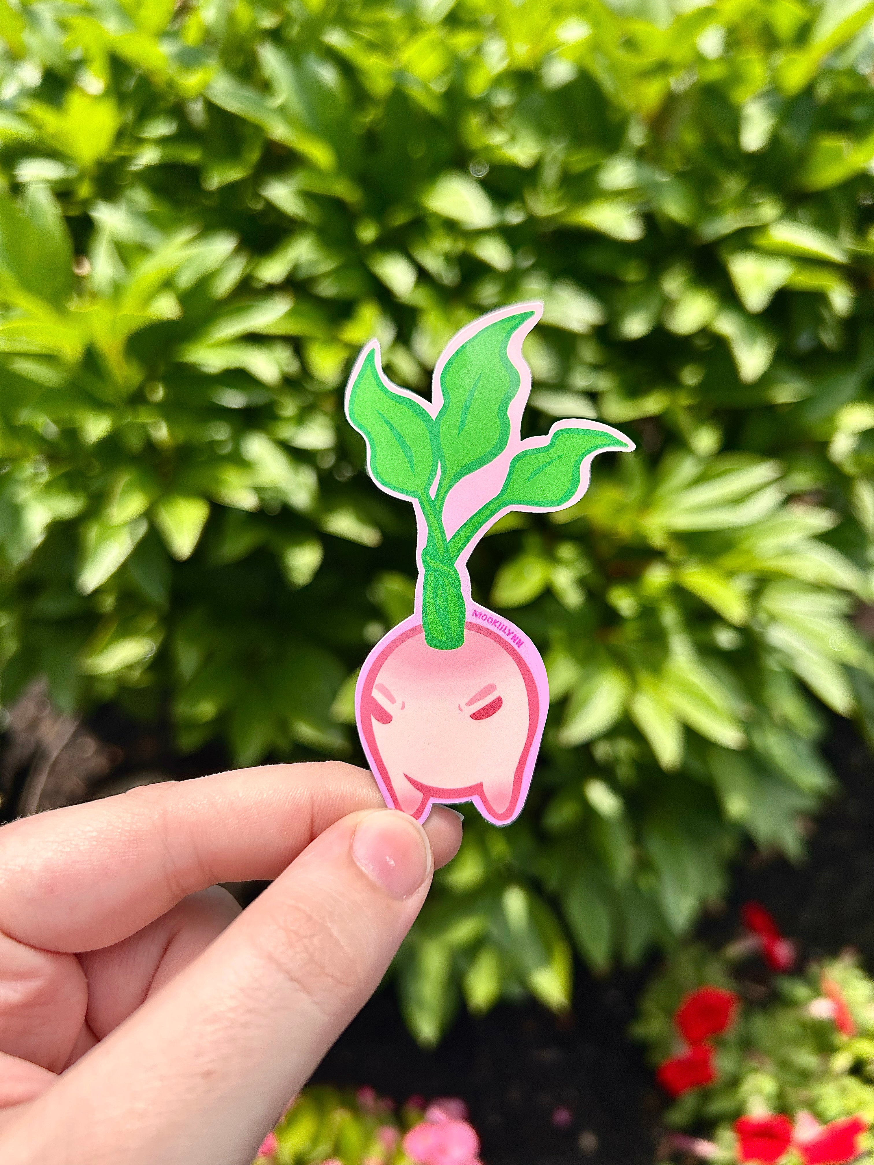 Turnip Evolution Trio Sticker Set