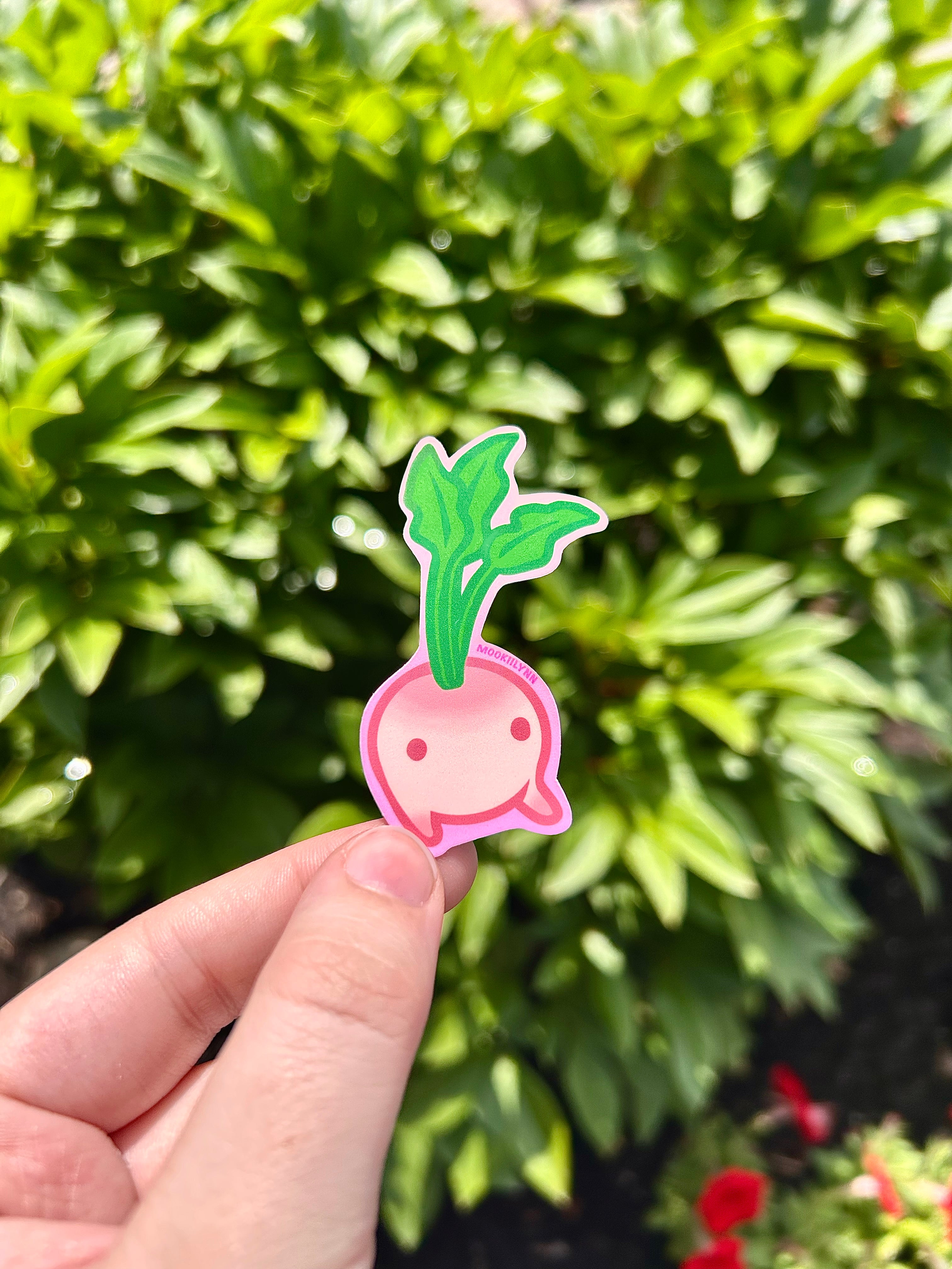 Turnip Evolution Trio Sticker Set