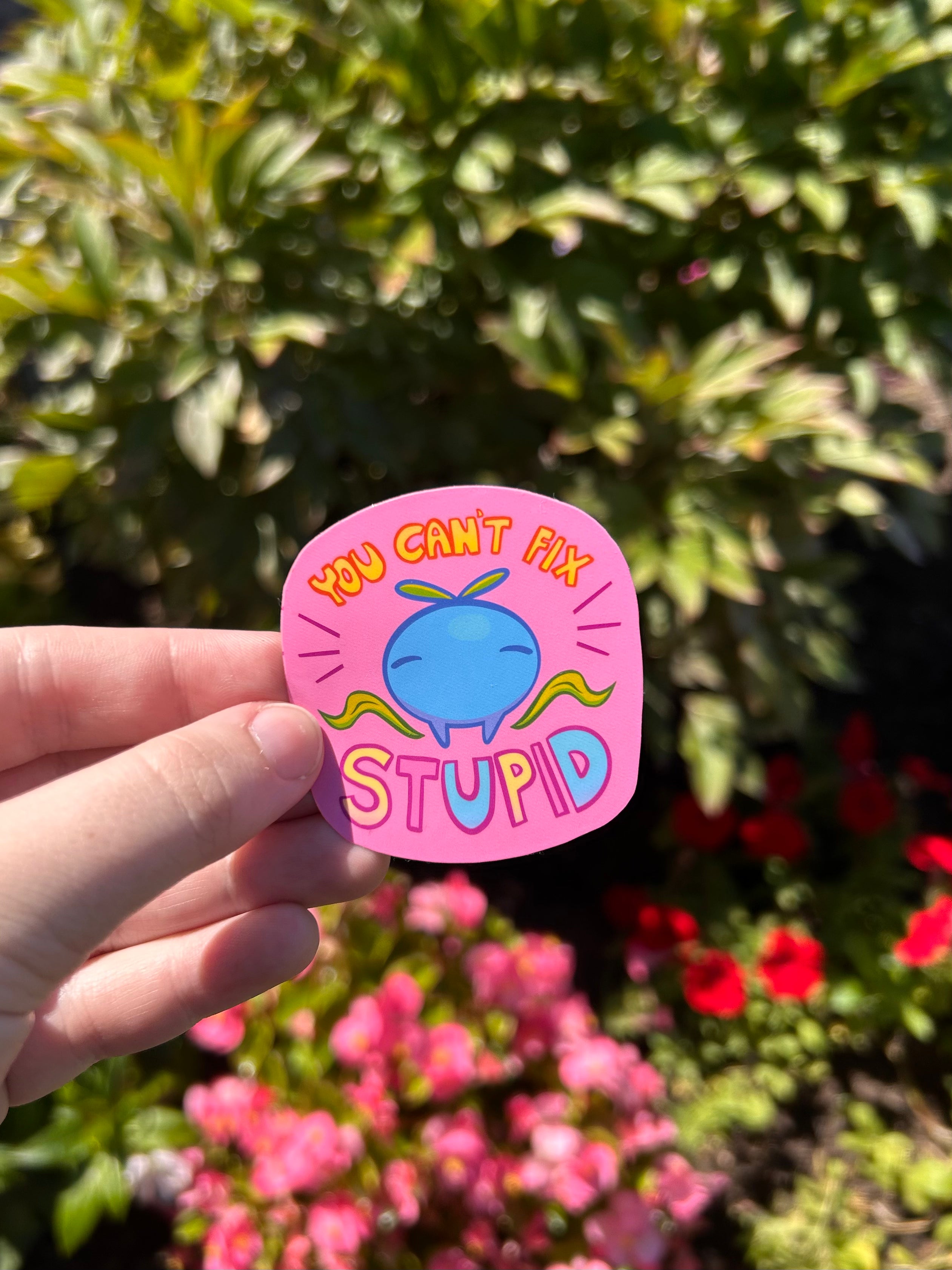 Can't Fix Stupid Individual Sticker