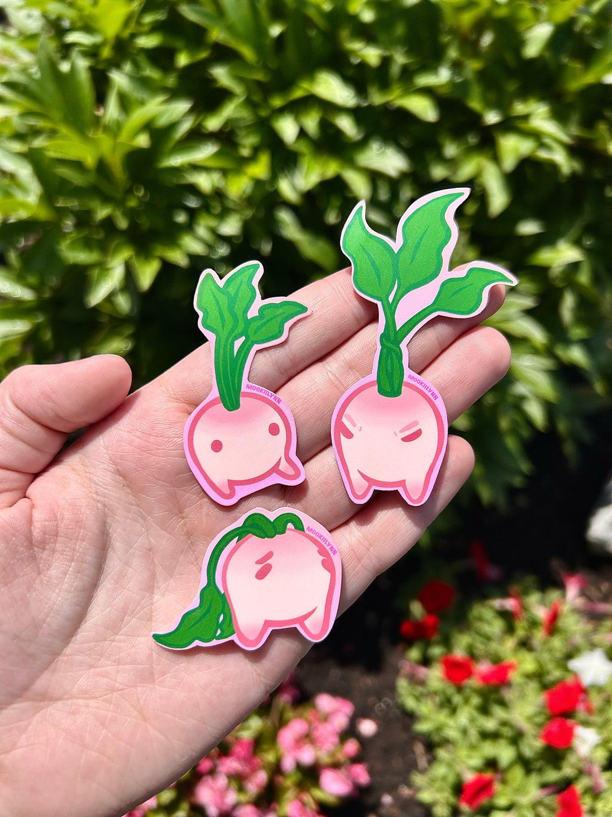 Turnip Evolution Trio Sticker Set